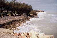 Clicca per aprire