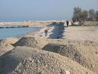 Clicca per ingrandire