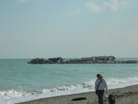Clicca per ingrandire