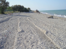 Clicca per ingrandire