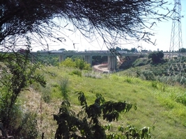 Clicca per ingrandire
